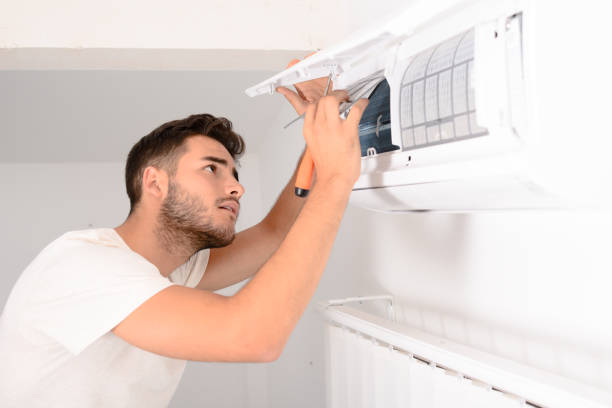 Best Air Duct Mold Removal  in Cattaraugus, NY